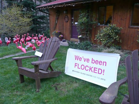 Wendy Dion and Dan Walker at the Yoga Lodge are the latest islanders to find they’ve been “flocked” by flamingos.