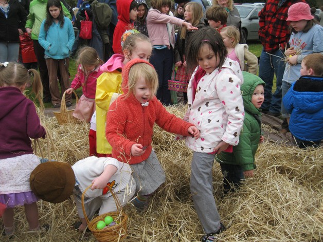 Kids scramble for candy at last year’s Bayview Easter egg hunt. The Easter bunny will strike Bayview at 2 p.m. today