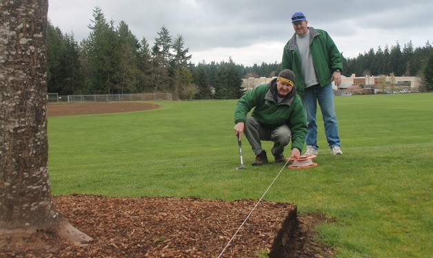 South Whidbey Parks maintenance worker Larry Calbert and facilities and grounds supervisor Tom Fallon eye a line that represents a new planter around the 9/11 memorial tree at Community Park.