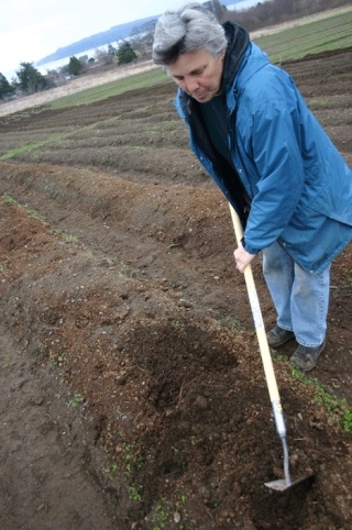 Anza Muenchow leads a crew of 12 farmers at the Greenbank Farm CSA training center.