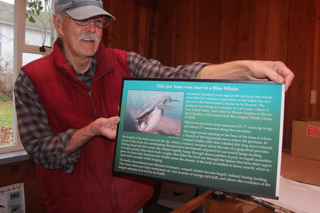 Howard Garrett holds one of the informational signs inside the Langley Whale Center.