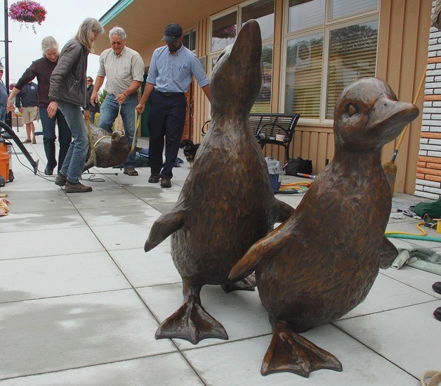 South Whidbey artist Georgia Gerber (front left) and Oak Harbor Senior Planner Cac Kamak (front right) work with others to set the third duck in Gerber’s “Stumbly Ducklings” piece in downtown Oak Harbor.