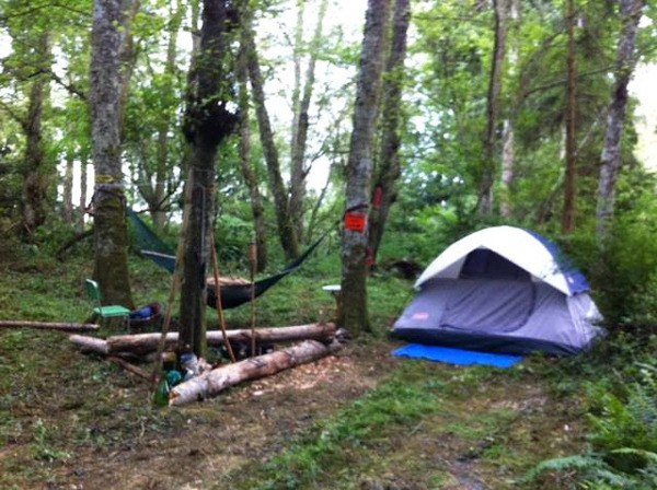 Many homeless individuals set up camps like this one which belonged to a woman on Coles Road.