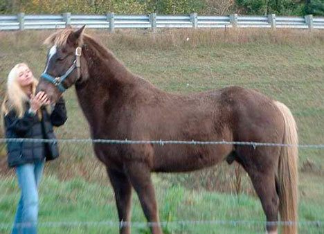 Family friend Holly Becker of Freeland stands with Rebel in a photo taken before his disappearance.