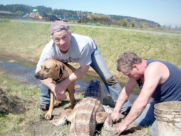 Brian O’Conner keeps Ellie from helping as Wayne Anderson