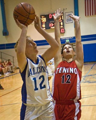 Falcon captain Lindsey Newman prepares a sinker despite Lady Beaver Brianna Nicolay’s best efforts Saturday.