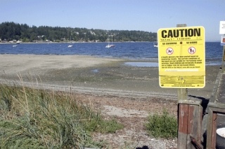 Signs warning about the swimming danger in Holmes Harbor were still posted Thursday