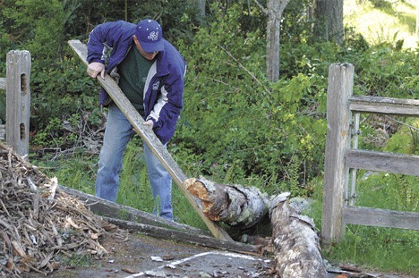 South Whidbey Parks & Recreation maintenance supervisor Tom Fallon cleans up after a tree fell near parks headquarters on Maxwelton Road Monday afternoon.