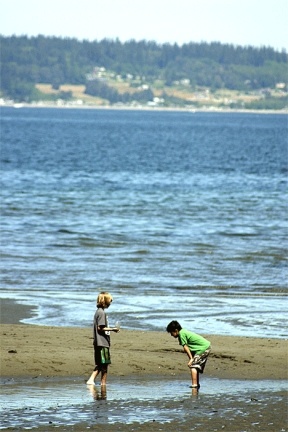 Two boys play in a tidepool on Maxwelotn Beach. A new report says most of Whidbey's beaches could be wiped out by climate change.