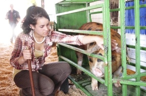 Chrissy Shuart with the Whidbey Island Hogs 4-H club pets her pig Y before the 4-H auction Saturday.