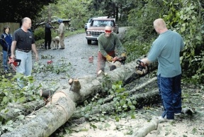 Residents of Longwood Lane in Clinton pitch in and cut apart a large tree that fell across the road into power lines. Residents were blocked from entering their neighborhood until the tree was removed.