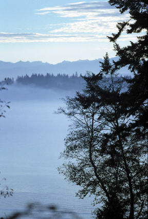 As seen from Whidbey Island Wednesday morning