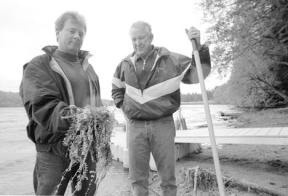 Lone Lake homeowners Bill Russell and Pat Clark look over the accumulation of elodea weeds on Russell’s beach Thursday. The invasive weed