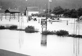 It is not unusual to see Freeland Park flooded during the winter months. Stormwater runoff and heavy rain combine with high tides to flood the playground area and south parking lot with at least a foot of water that recedes with the tide.