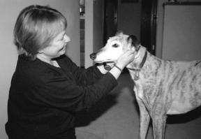 Donna Warstler and her family of Langley adopted a retired racing greyhound eight years ago. The dog