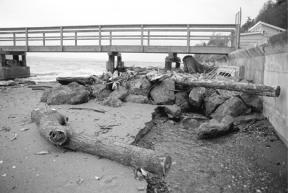 A pile of rocks