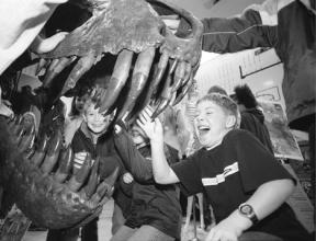 Third grader Cameron Wildes had to laugh at the thought of a live tyrannosaurus rex at the South Whidbey Intermediate School Thursday when he and classmate Mitch Worthy found out just how sharp the teeth were in the animal's fossilized skull.