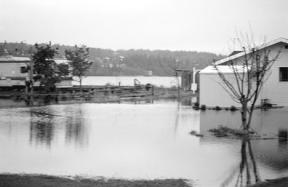 This Freeland property owner’s garage and yard were under several inches of water recently due to the flooding in Freeland Park. Vern Burt has owned property on Holmes Harbor near Freeland Park for 55 years and has never seen it so flooded.