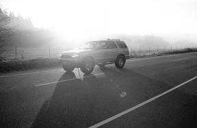 A motorist driving on Cultus Bay Road Thursday punches through the fog and