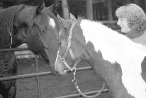 Diana Putney of Langley pauses with her 6-month-old colt