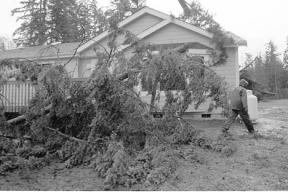 Two trees that fell on a Freeland home Wednesday night and Thursday morning are the most severe damage caused by a storm that hit the island this week.