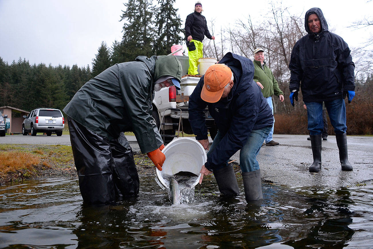 SLIDESHOW | Lone Lake swimming with rainbows; fly clubs dump 500 pounds of trout into ‘regional’ fishing hole