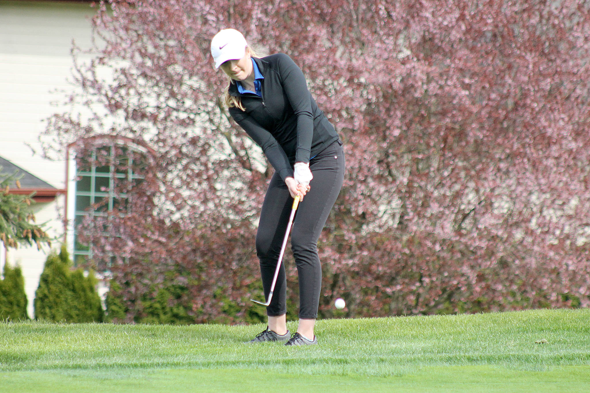 Girls golf tearing up Cascade Conference