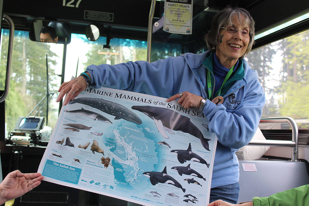 Island Transit offering guided tours