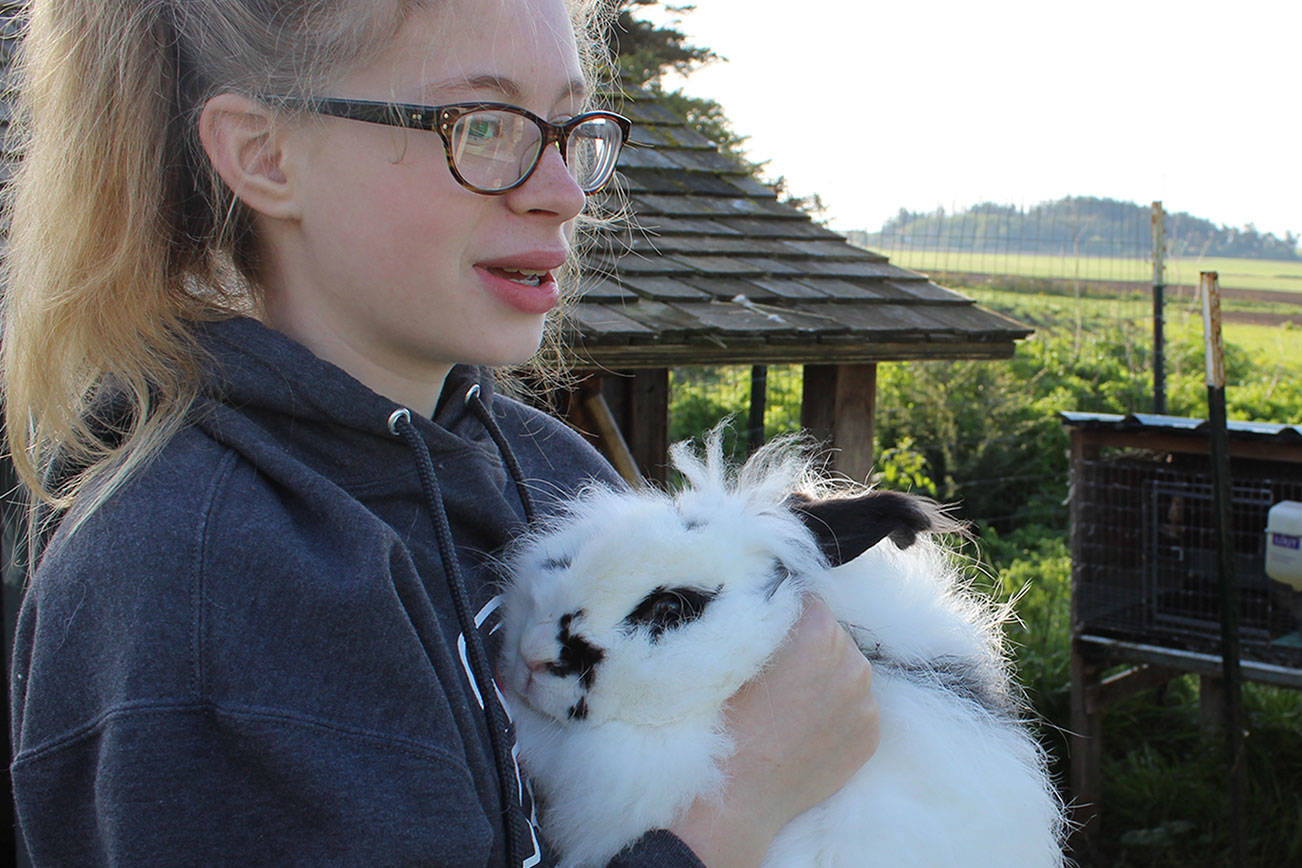 Canada’s deadly rabbit virus on the move