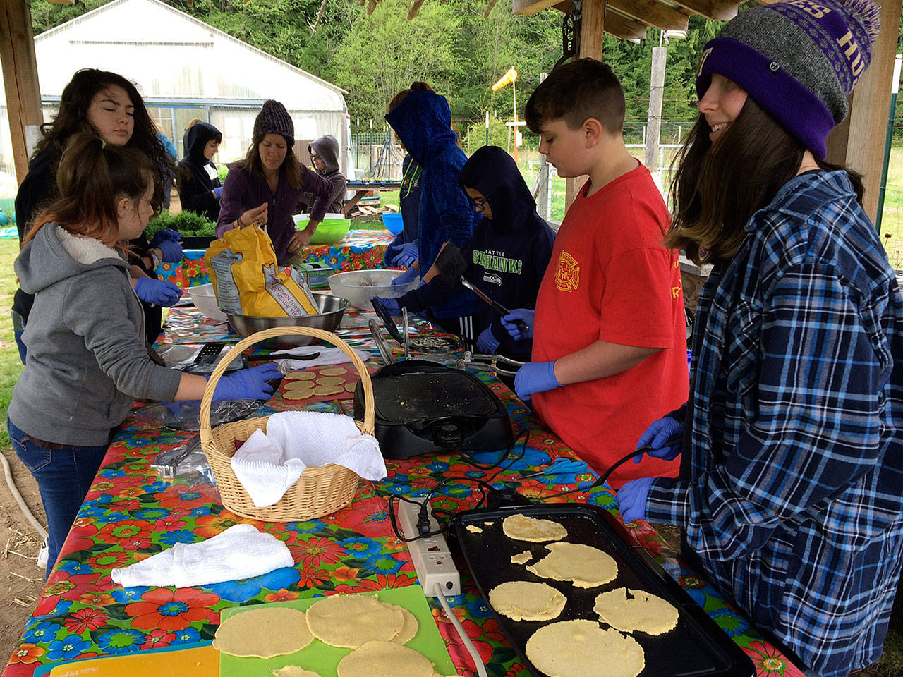 Cooking up an Earth Day lunch Monday, South Whidbey students made fresh masa harina tortillas by hand, cooked them on the griddle and stuffed them with bean and greens grown in their own school garden. (Photo provided)