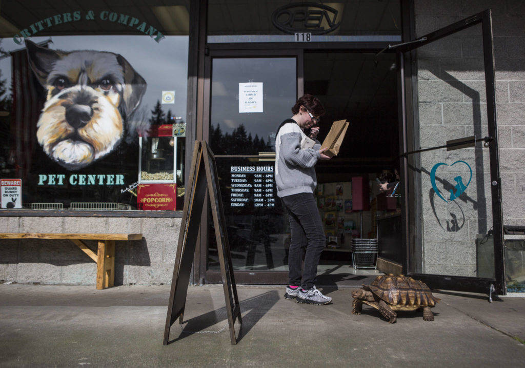 Pet shop where tortoise lives open for business