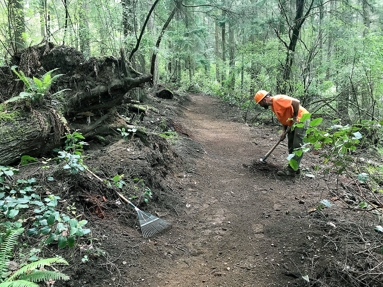 Photo provided                                Owner Eric Carabba of Backwoods Contracting builds a trail for the Price Sculpture Forest.