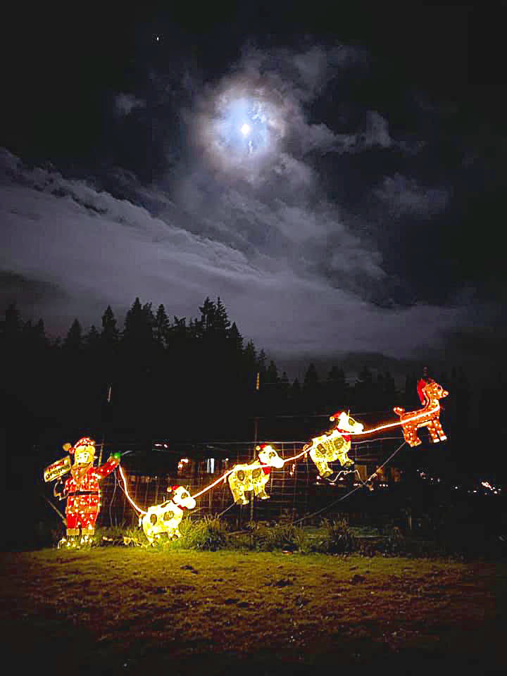 Photo by Deb Suggs
Santa takes off early from Anderson Farm and Gardens in Langley.