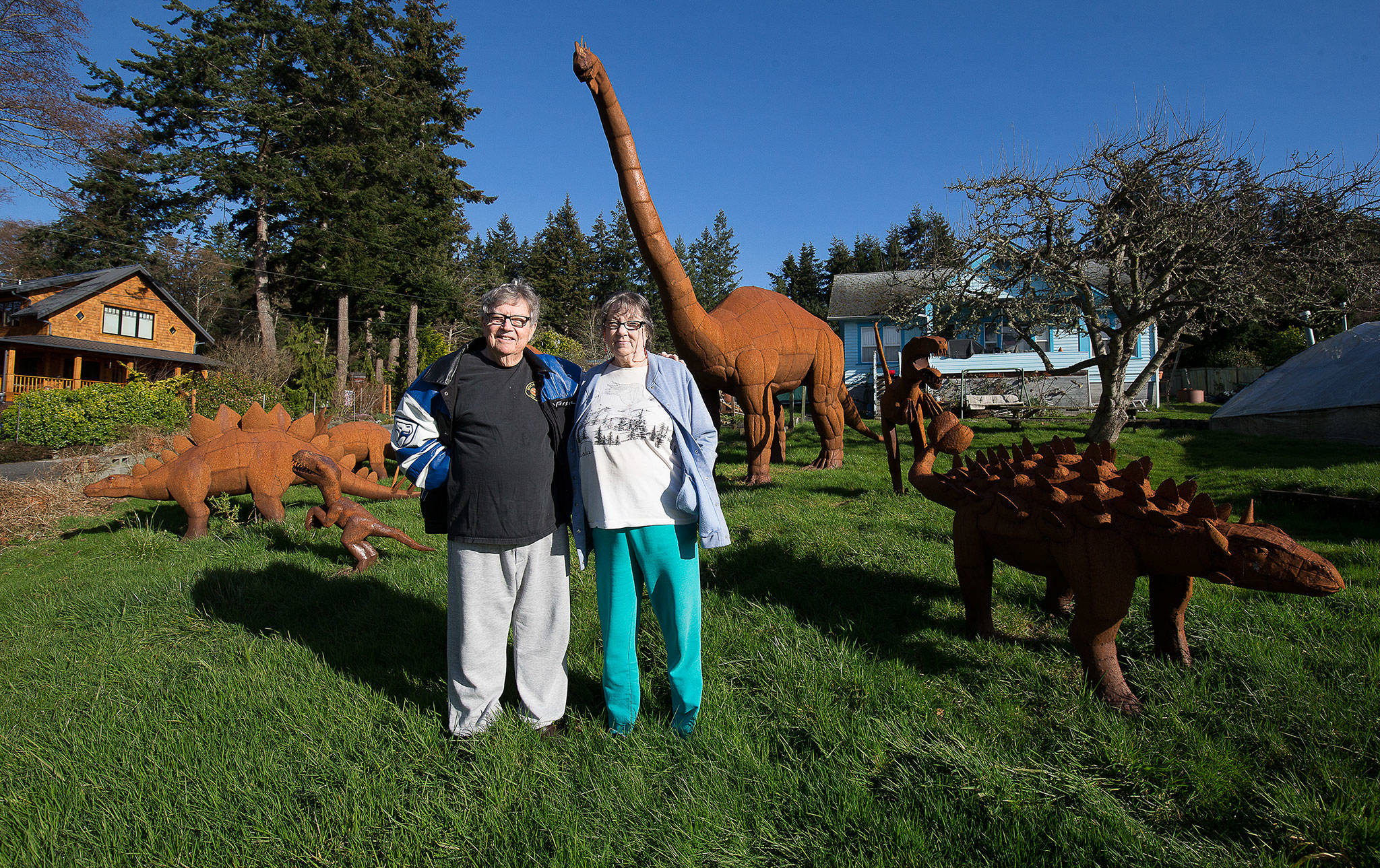 About a dozen metal sculptures adorn the front yard of the home of Burt Mason and Mary Saltwick in Freeland on Whidbey Island. The couple are accustomed to finding strangers in their yard and taking photos. They got the sculptures during vacations in Tucson, at a store that imports handcrafted figures from Mexico. (Andy Bronson / The Herald)