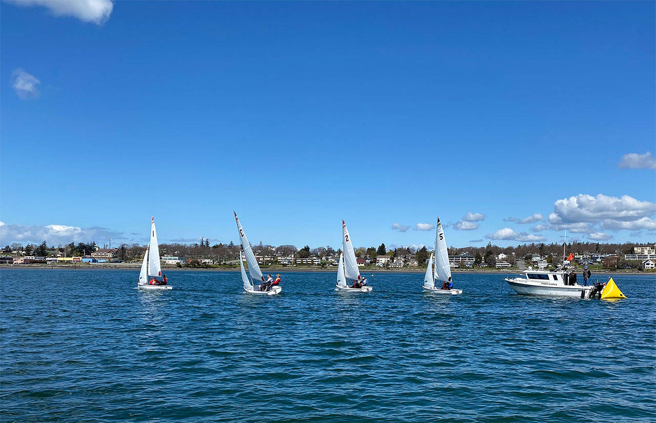 Wildcat Sailing Club