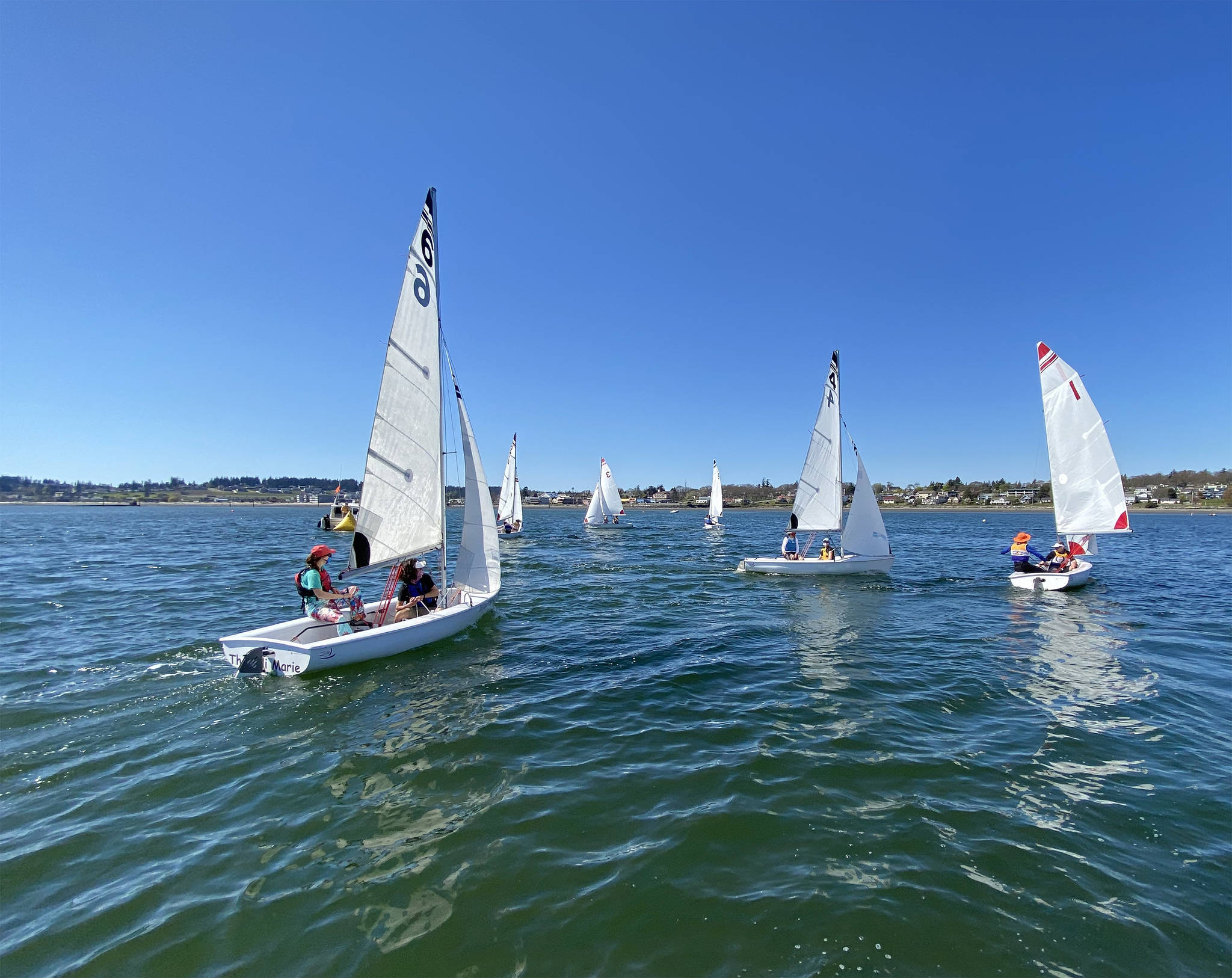 The Wildcat sailors competed against the Ballard Beavers Saturday. Although the Oak Harbor team suffered their only loss of the season against Ballard, the team is headed to Olympia next weekend to compete for a chance to advance to the National Championships. Photo by Shawn O’Connor.