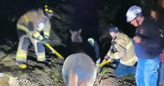 Photo provided
Responders from North Whidbey Fire and Rescue and the Navy rescue 24-year-old Ruby from a trench Nov. 11.