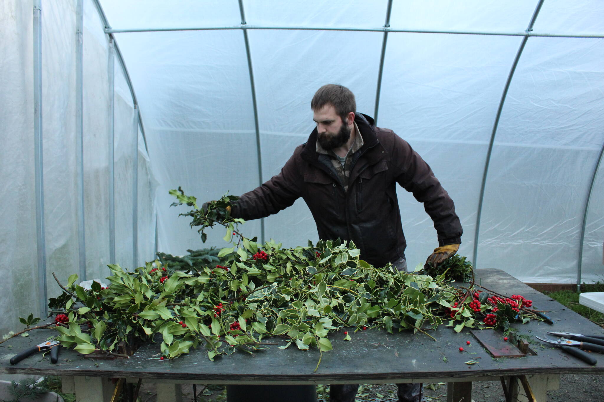 Photo by Karina Andrew/South Whidbey Record
Isaiah Rawls makes a wreath from holly grown on the farm at A Knot in Thyme.