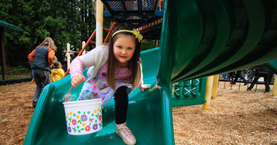 Photo by David Welton
A girl searches for Easter eggs during last year's event in Clinton.