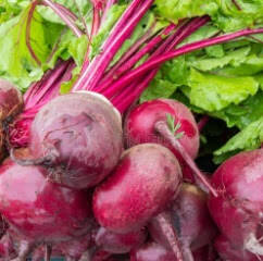 beet