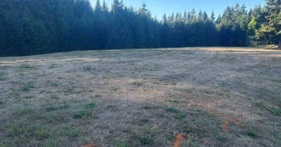 Photo provided
The six courts will be located by the sports complex on Langley Road, between the soccer fields and the forest.