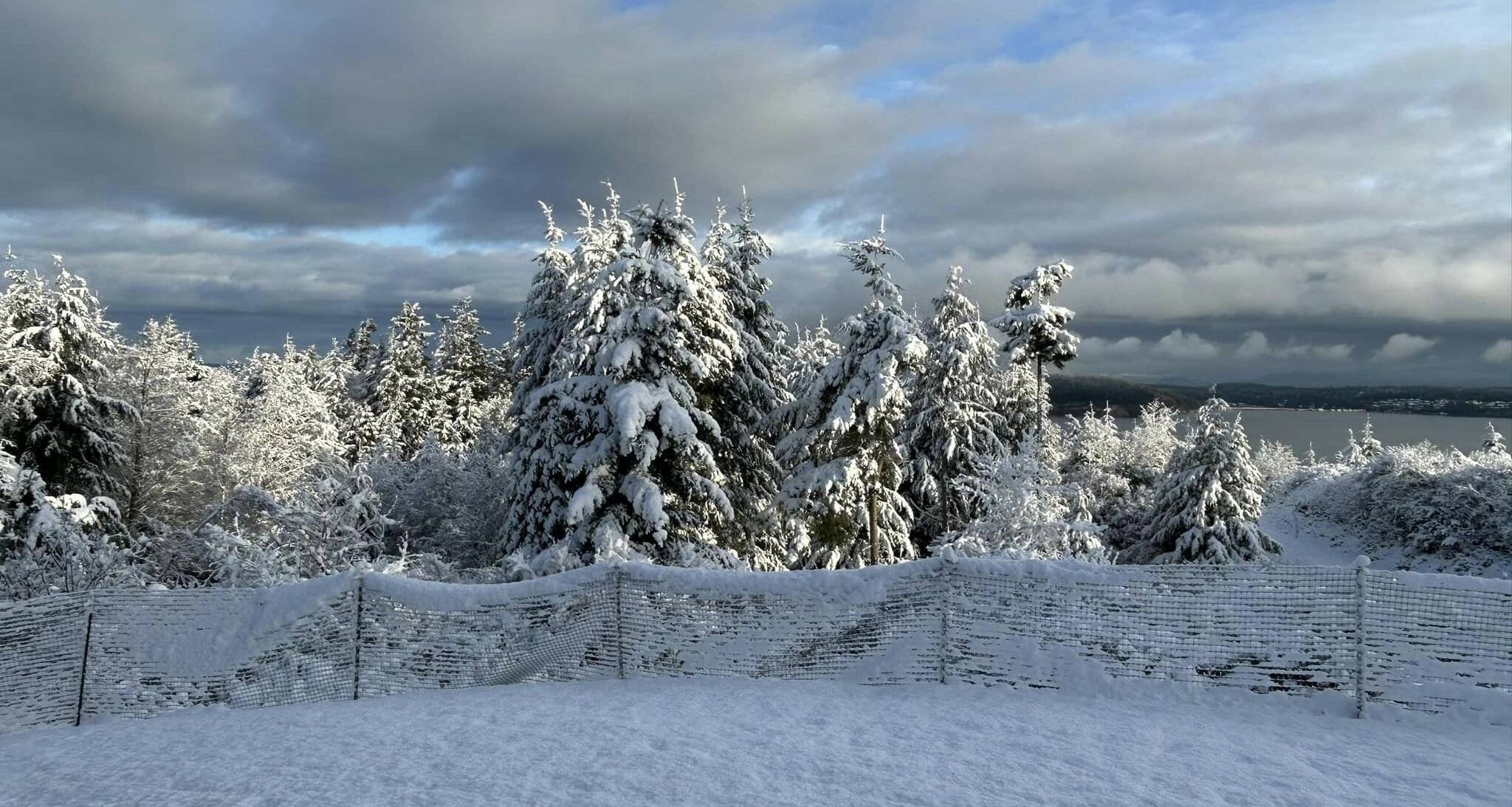 South Whidbey resident Cecelia Dance took this photo Tuesday morning, near Baby Island. (Photo by Cecelia Dance)