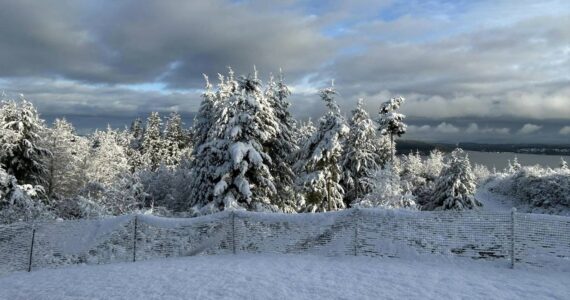 Photo by Cecelia Dance
South Whidbey resident Cecelia Dance took this photo Tuesday morning, near Baby Island.