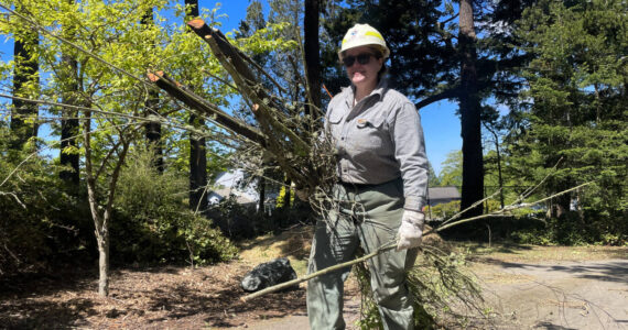 Photo by Sam Fletcher
Claire Seitzer-Jones, a Department of Natural Resources firefighter, clears potential fire hazards from the Pondilla Estates in Coupeville.