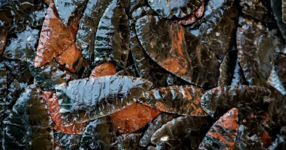 Photo by David Welton
Robert Bower travels to Oregon to collect obsidian for his knife blades.