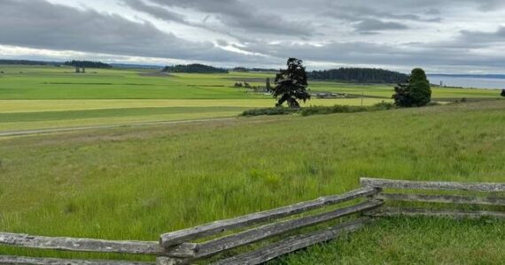 Ebey’s Prairie on a gorgeous spring day.