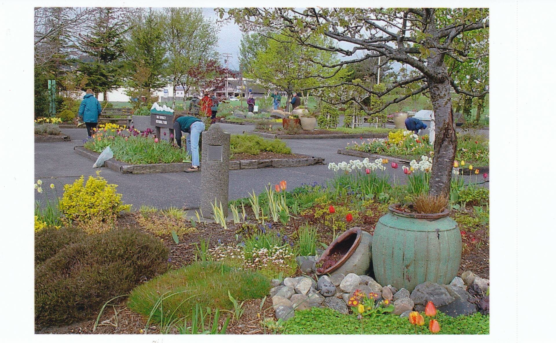 Members of the Oak Harbor Garden Club maintain Hal Ramaley Park in years past. (Photo provided)