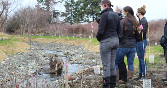 File photo
A collaborative creek restoration project between the Navy and a local nonprofit came to a close with a small creekside ceremony in 2022.