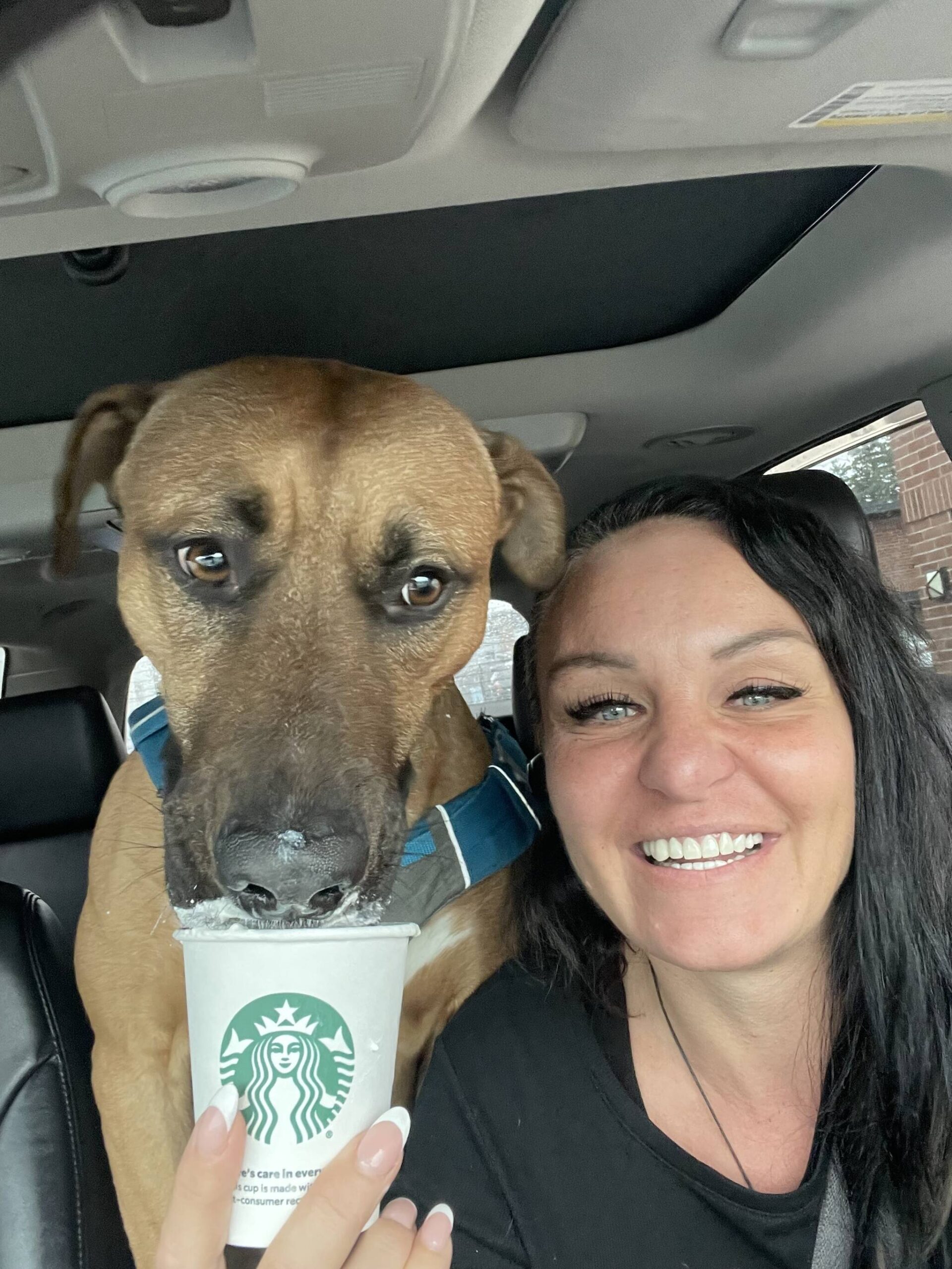 Photo provided
Kiro enjoys a pup cup with his person, Welcome Home Oak Harbor Executive Director Chelsea McGuire.