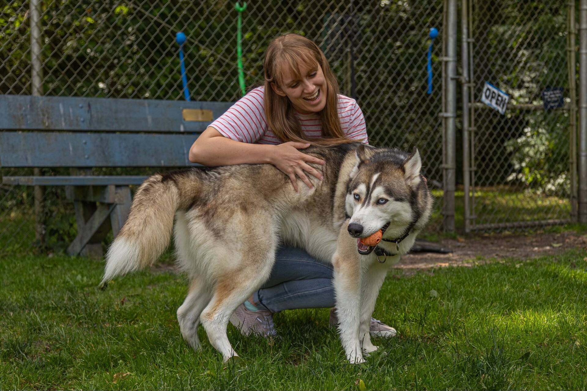 WAIF Communications and Events Coordinator Karina Andrew pets Abott. (Photo by Caitlyn Anderson)